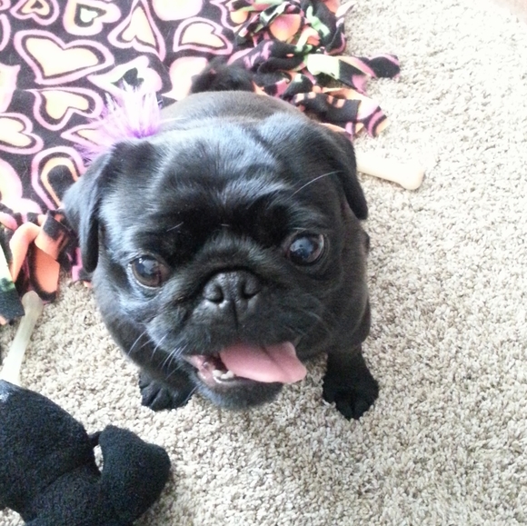 Meet your Posher, Stephanni - Picture 6 of 16